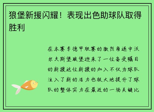 狼堡新援闪耀！表现出色助球队取得胜利