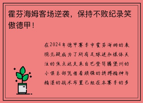 霍芬海姆客场逆袭，保持不败纪录笑傲德甲！