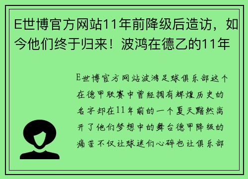 E世博官方网站11年前降级后造访，如今他们终于归来！波鸿在德乙的11年奋斗史 - 副本